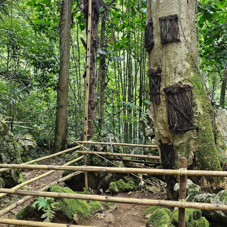 Old Patane and the Pong Massangka Statue in Pangli, Sesean, North Toraja